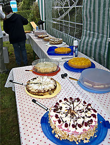  Grillfest 2011 (Bild: Tolles Kuchensortiment)
