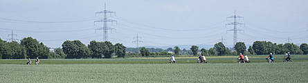 Radtour 2012 (Bild: Durch die Felder zurck nach Gro-Gerau)